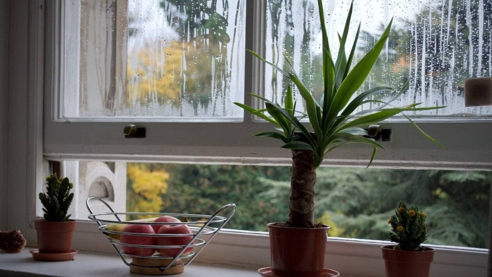 Το μυστικό για να μην έχετε υγρασία στο σπίτι